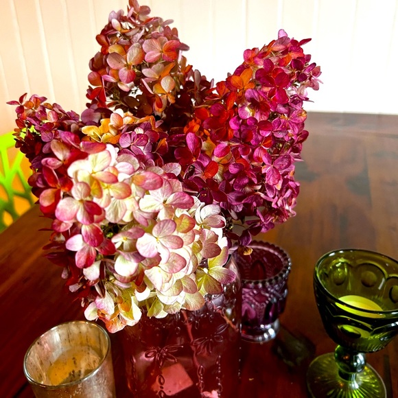 Meet your Posher, Louise - Picture 1 of 1